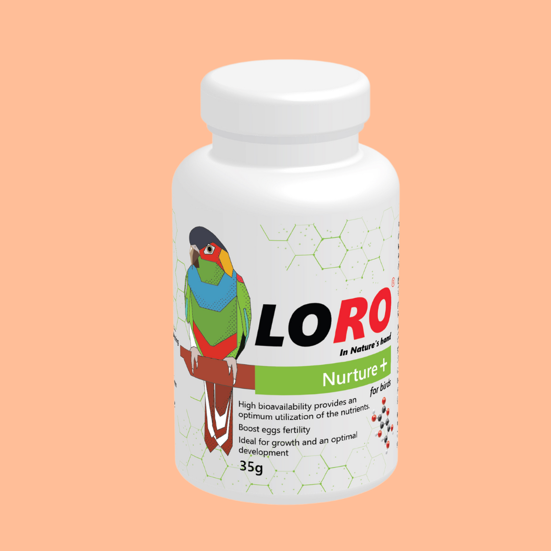 Loro Nurture+ – Premium Vitamin Supplements for Bird Health