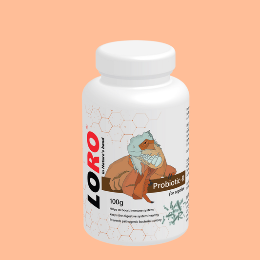 Probiotic-R – Advanced Probiotic and Gut Health Supplement for Reptiles