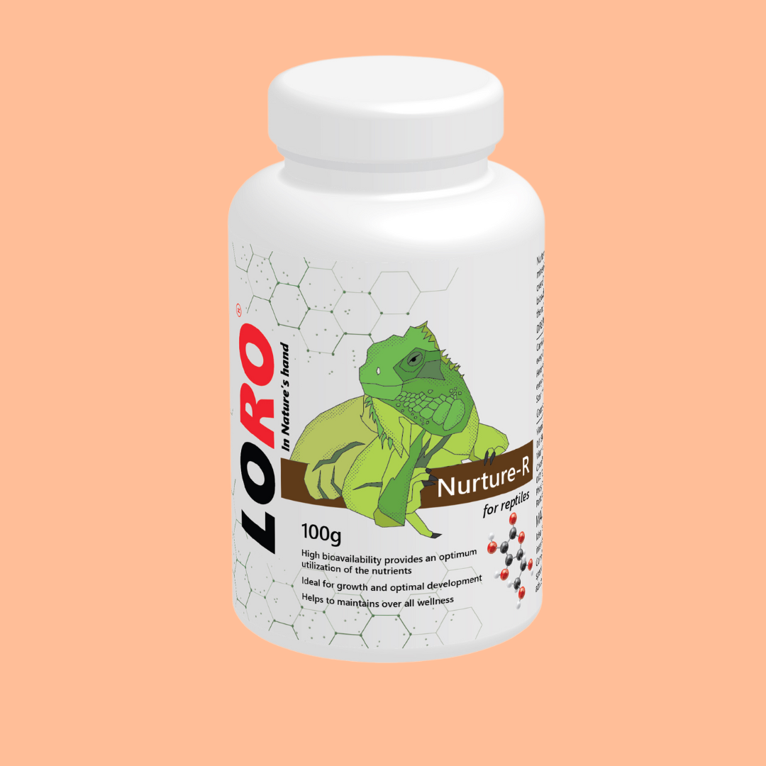 Nurture – R vitamin supplement for reptiles