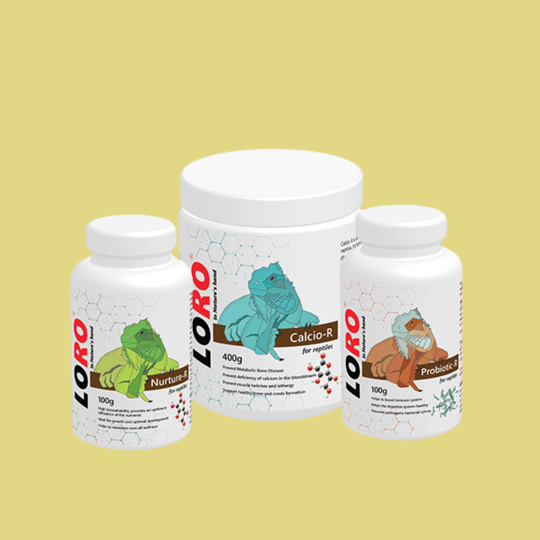 Loro Reptile Combo – Vitamin, Calcium & Probiotic Supplement