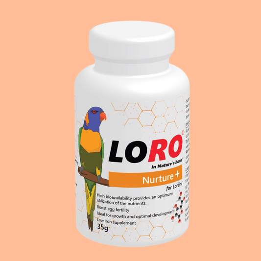 Loro Nurture+ vitamin supplement for lory and lorikeet
