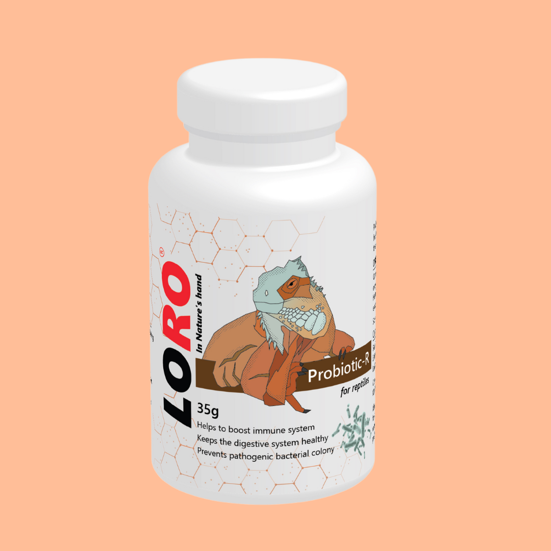Probiotic-R – Advanced Probiotic and Gut Health Supplement for Reptiles