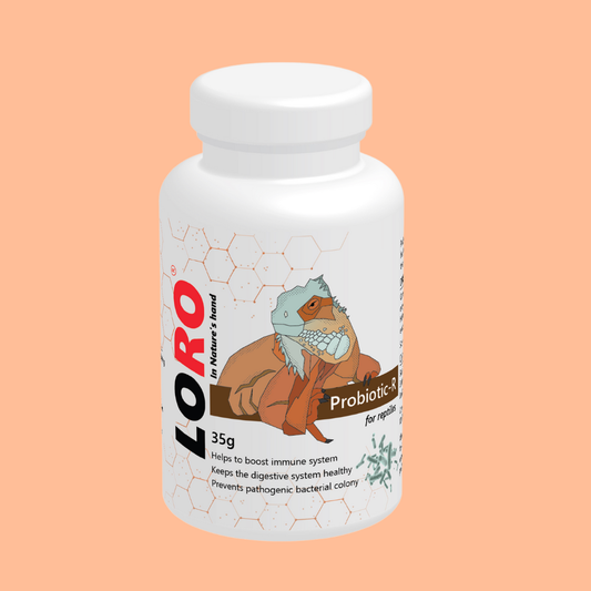 Probiotic-R – Advanced Probiotic and Gut Health Supplement for Reptiles