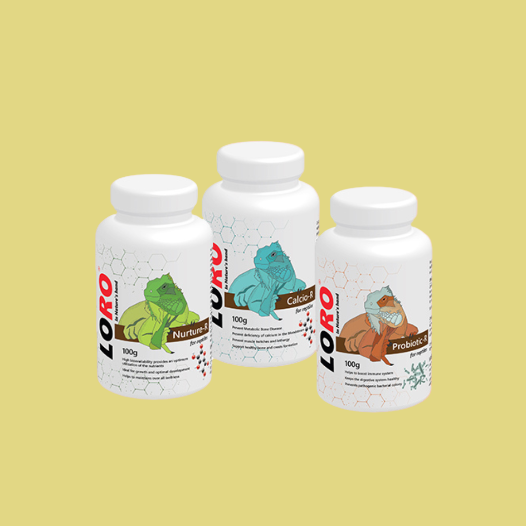 Loro Reptile Combo – Vitamin, Calcium & Probiotic Supplement