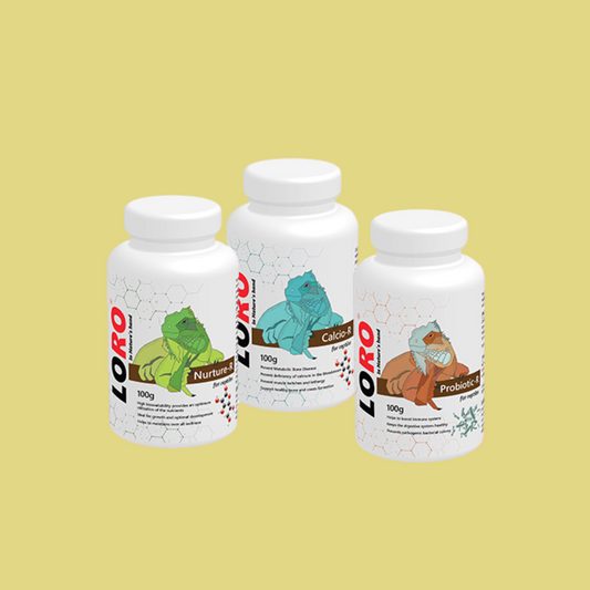 Loro Reptile Combo – Vitamin, Calcium & Probiotic Supplement