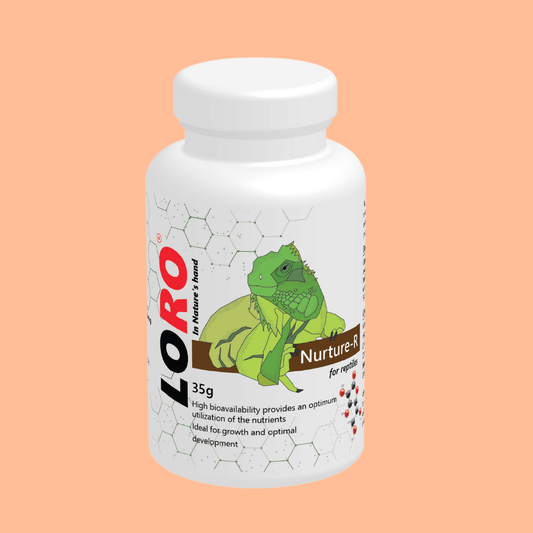 Nurture – R vitamin supplement for reptiles