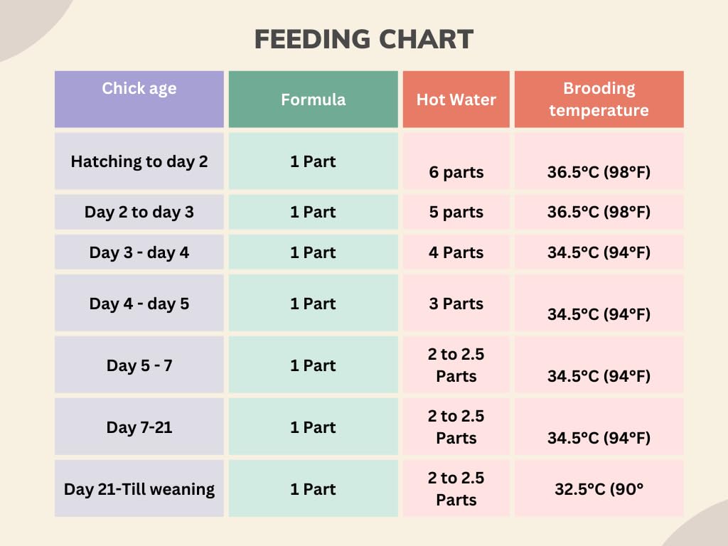 Loro Hand-Feeding Formula for Baby Birds – Promotes Healthy Growth & Development
