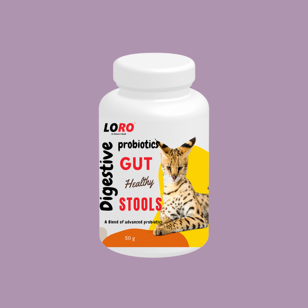 Digestive Probiotic for Cat– Advanced Gut Health & Stool Support