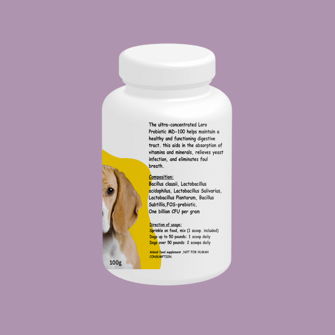 Digestive Probiotic for Dogs – Advanced Gut Health & Stool Support